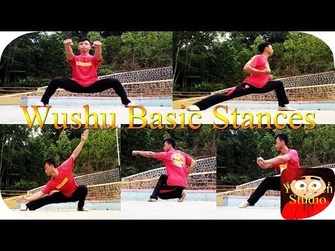 5 Basic and The Most Important Stances (Wushu Taolu)