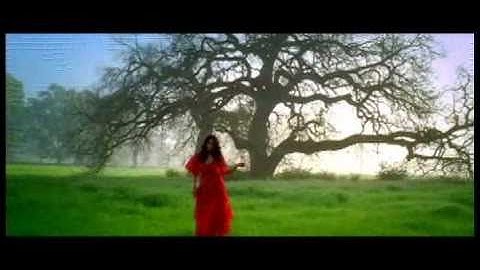 Amitis - Tow | آمیتیس - تو