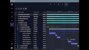 Program Management Software: Keep Your Projects Organized