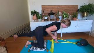 Quadruped Band Pull