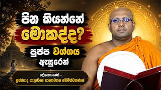පින කියන්නේ මොකද්ද? පුප්ප වග්ගය ඇසුරෙන් | Kelaniye Sasanawansa Thero | Mindful Wisdom #Bana
