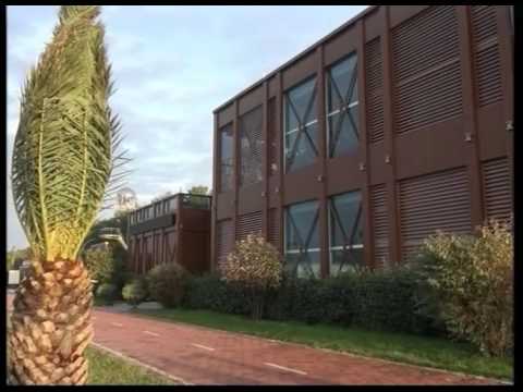 ბათუმის ძველ ბულვარში