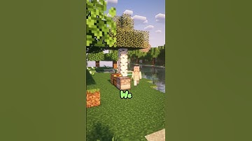 Three reasons to join! #minecraft #minecraftsmp