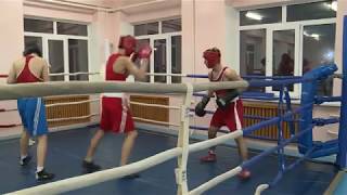 вернулись с победой. Боксеры спортивной школы 