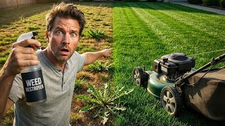 Stop Buying Lawn Weed — This $0 Fix Lasts a Year