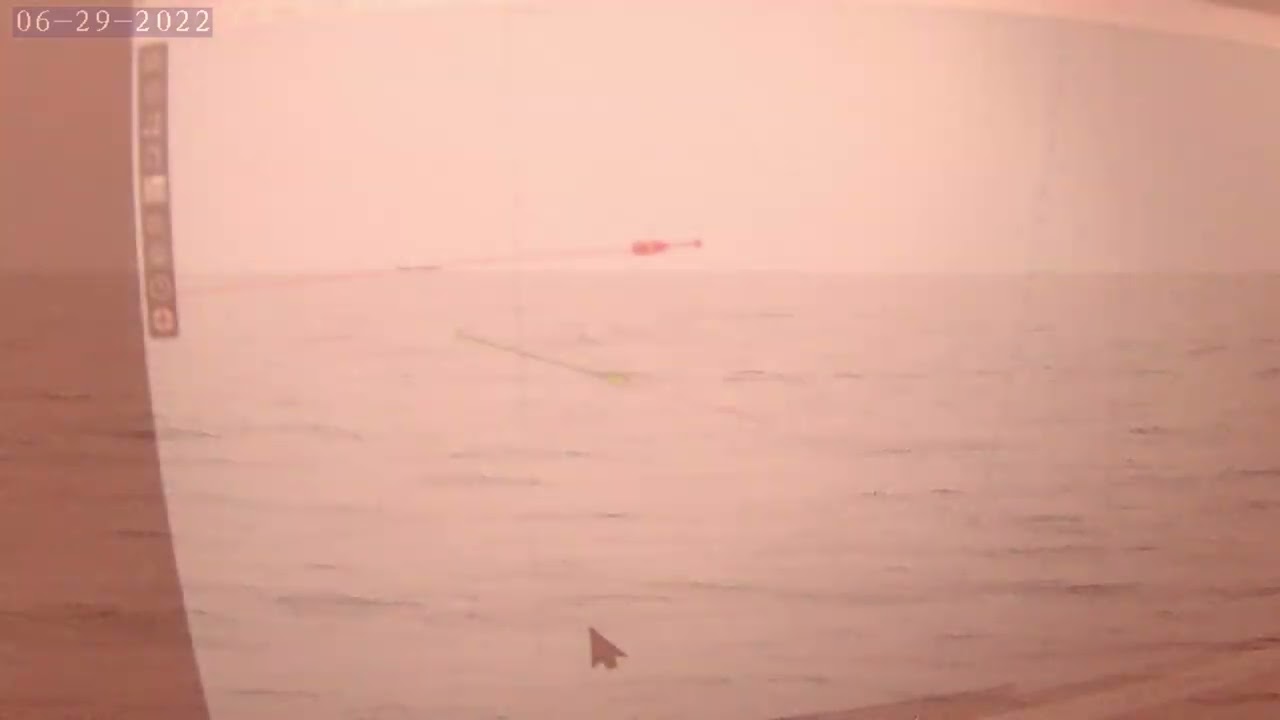 Pacaloo de mer Alalunga de Sardaigne en sicile
