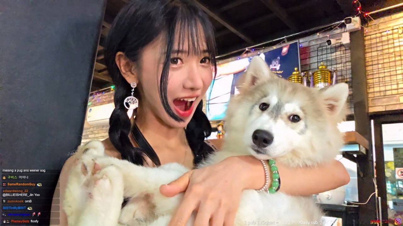 🇲🇾PENANG MALAYSIA :  LUNAR NEW YEAR EVENT & HIDDEN GEM ADVENTURE DAY 14