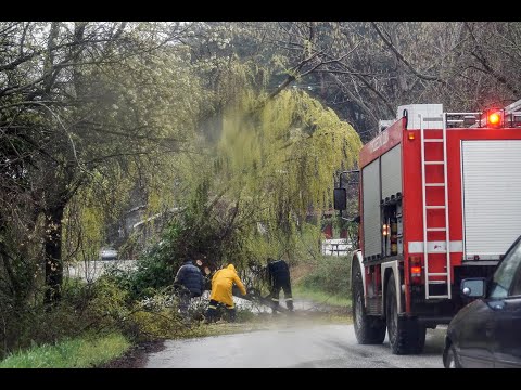 Πτώση δένδρου στο Ξινό Νερό Μεταλλικού και επέμβαση Πυροσβεστικής - Eidisis.gr webTV