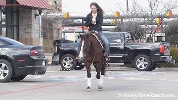 VV Miss Whiskey Baby - riding in town! - ValleyViewRanch.net