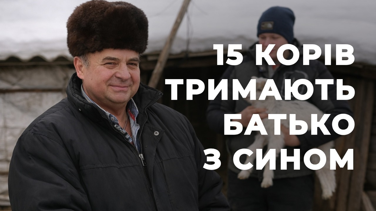 П’ята ранку і без вихідних: батько і 14-річний син тримають найбільше господарство Кучинівки