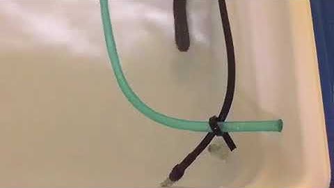 REX c100 PID with Sonoff TH16 internet supervisor Coleman Party Stacker Sous Vide