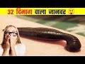 32 दिमाग वाले जानवर के बारे में कभी सुना हैं 😱 | Amazing Fact About Leech | #short