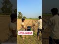 Drip Line Jugad Drip Installation Drip Irrigation ठ बक स च ज ग ड
