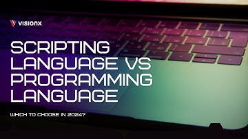 Scripting Language vs Programming Language | VisionX
