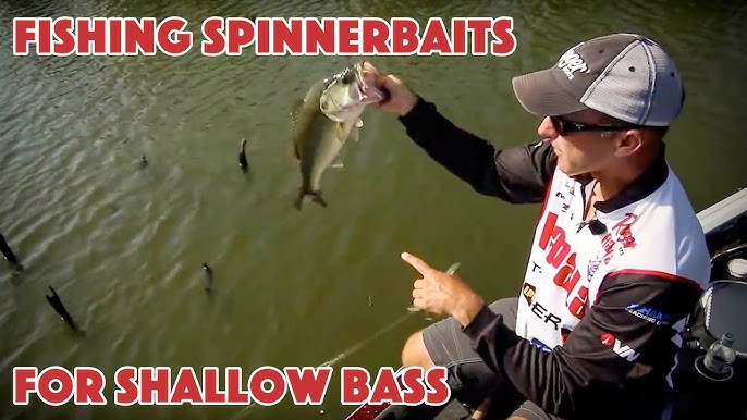 How and Why to Fish a Heavy Spinnerbait Shallow - Wired2Fish