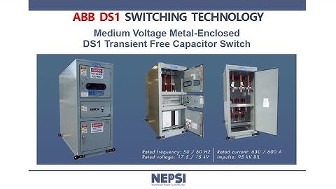 NEPSI - ABB DS1 Switching Technology