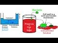 Chemistry - Solutions (50 of 53) Colligative Properties- Osmosis and Food Preservation