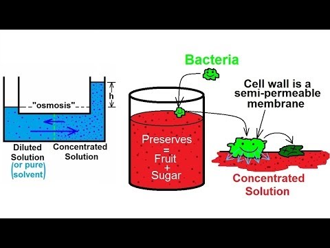 Chemistry - Solutions (50 of 53) Colligative Properties- Osmosis and Food Preservation