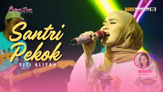 SANTRI PEKOK - SITI ALIYAH ft AMEL || ALIYAH MUSIC COLABORATION || LIVE NGOBROG ONLINE 29 MARET 2024