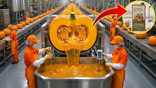 Proceso de producción dentro de una mega fábrica de calabazas gigantes | fabricación