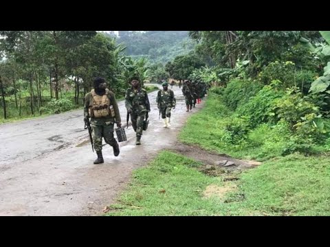 MASISI KASHANJE ET NYAMPANIKA LIBÉRÉS VIOLENTS COMBATS SIGNALÉS À WALIKALE CE 16 11 2025