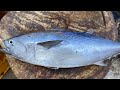 Baby Tuna Fish Cutting And Slicing In Fish Market/ Food Journey