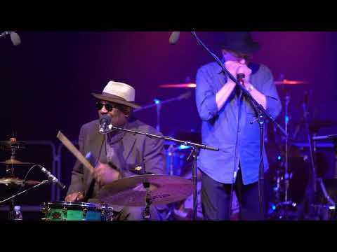 Big Daddy Wilson Trio feat. Steve Baker - Baby Don't Like