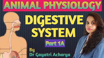 DIGESTIVE SYSTEM / Part 1A/ANIMAL PHYSIOLOGY /CSIR-UGC NET/By Dr Gayatri Acharya