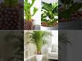 Clay Balls for Plants Home Garden| Clay balls for Gardening
