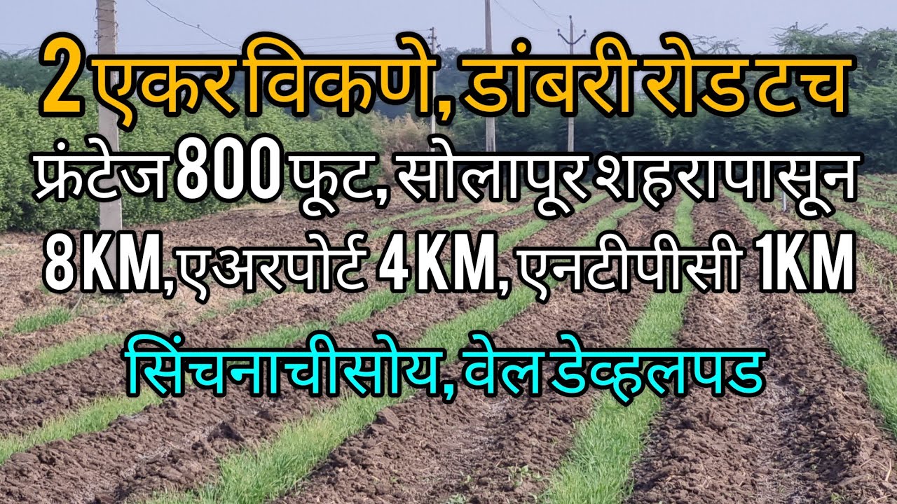 सोलापूर डांबरी रोड टच दोन एकर बागायती शेती फार्म हाऊस विकणे आहे ( सेल आऊट )