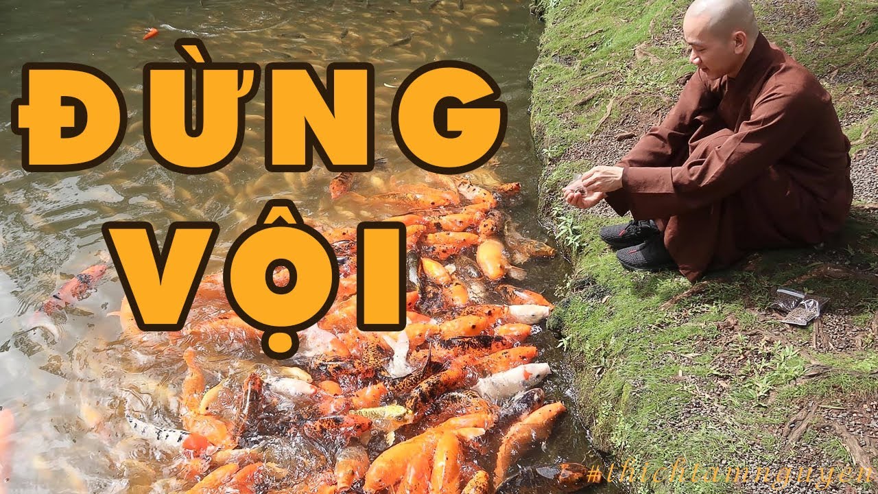 Đừng Vội Đánh Giá Hay Phán Xét 1 Điều Gì Trong Đời Sống – Thầy Thích Tâm Nguyên Đừng Vội Đánh Giá Hay Phán Xét 1 Điều Gì Trong Đời Sống – Thầy Thích Tâm Nguyên