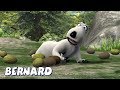 Bernard Bear A Bunch Of Coconuts AND MORE Cartoons For Children Full Episodes 