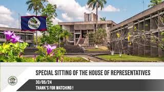 Special Sitting of the House of Representatives - 30/05/2024