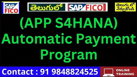 (APP S4HANA ) Automatic payment program - APP Configuration & Testing-SAP FICO Training