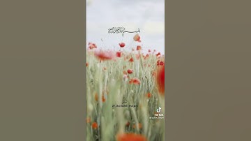 (وإن ربك ليعلم) | حالات واتس اب دينية | اسلام صبحي | تلاوة خاشعة ❗