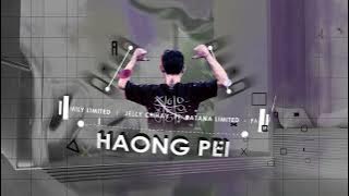 Yue Liang Dai Biao Wo De Xin - 月亮代表我的心 - Haong Pei - Remix 2023