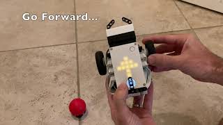 Dial Programmable Bot