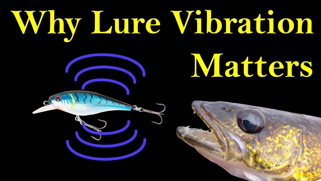 Fishing Lures for Beginners - Understanding Lure Vibration