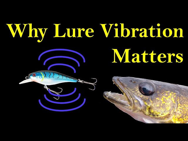 does lure increase fish Dr.Fish 5pcs Metal S-shaped Spoon Lures Opening Day Options: Top 10