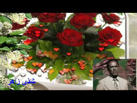 احمد المصطفى فارق لاتلم شذى زاهر