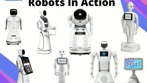 Expert Hub Robots In Action!