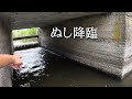 トンネルの奥に巨大魚が居る