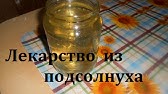 КОРЕНЬ ПОДСОЛНЕЧНИКА || ПОДСОЛНУХ || Польза качество применение - YouTube