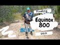 Finding Gold with The Equinox 800