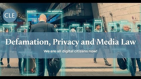 Defamation, Privacy and Media Law 2022