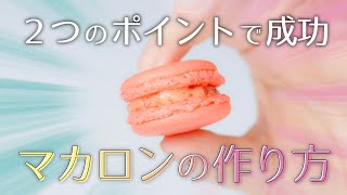 ２つのポイントで成功！マカロンの作り方【混ぜ方と乾燥が大事】フランボワーズ味