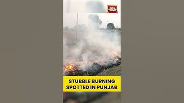 Stubble Burning Spotted Again in Punjab