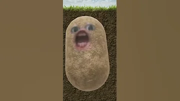 Batata Ana Ana Batata 
