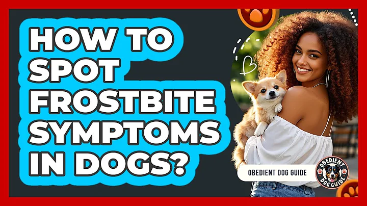 How To Spot Frostbite Symptoms In Dogs?