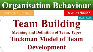 Team Building in organisational behaviour, Tuckman Model of Team Development, process of team build